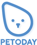 pettoday